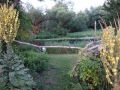 DSC01276