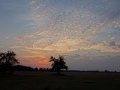 DSC01790